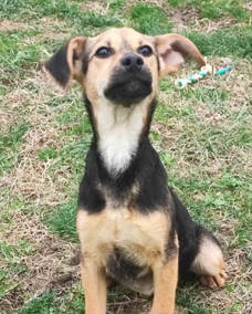 Helena Titer 0324 Hoch