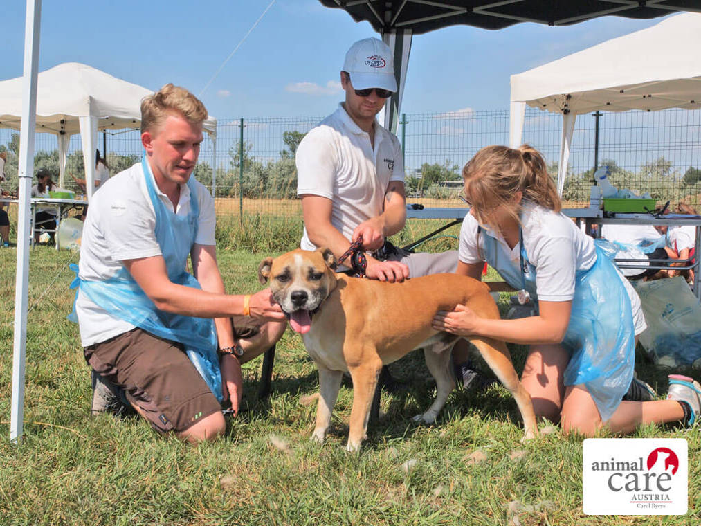 Kopie Von 22 0724557