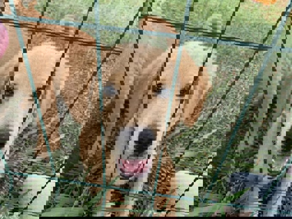 Photo 15.08.21, 12 17 19 Small Min