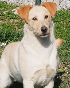 Digby Titer 0324 Hoch