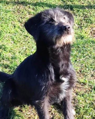 Hermine Titer 0124 715X900