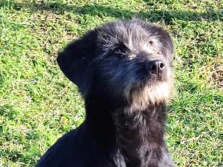 Hermine Titer 0124 715X900