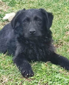 Jasper Titer 0324 Hoch