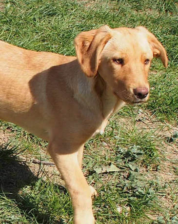 Penelope Titer 0624 Hoch